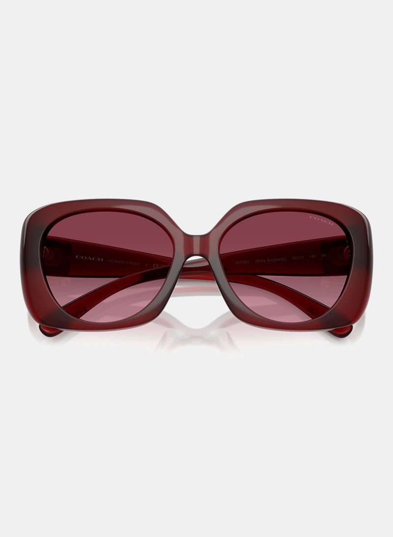 كوتش نظارة شمسية بإطار كامل مربع 8422U, 55, 5870, 8H - Image 4